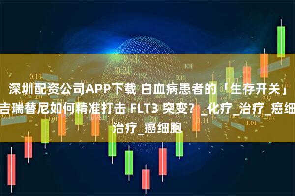 深圳配资公司APP下载 白血病患者的「生存开关」：吉瑞替尼如何精准打击 FLT3 突变？_化疗_治疗_癌细胞
